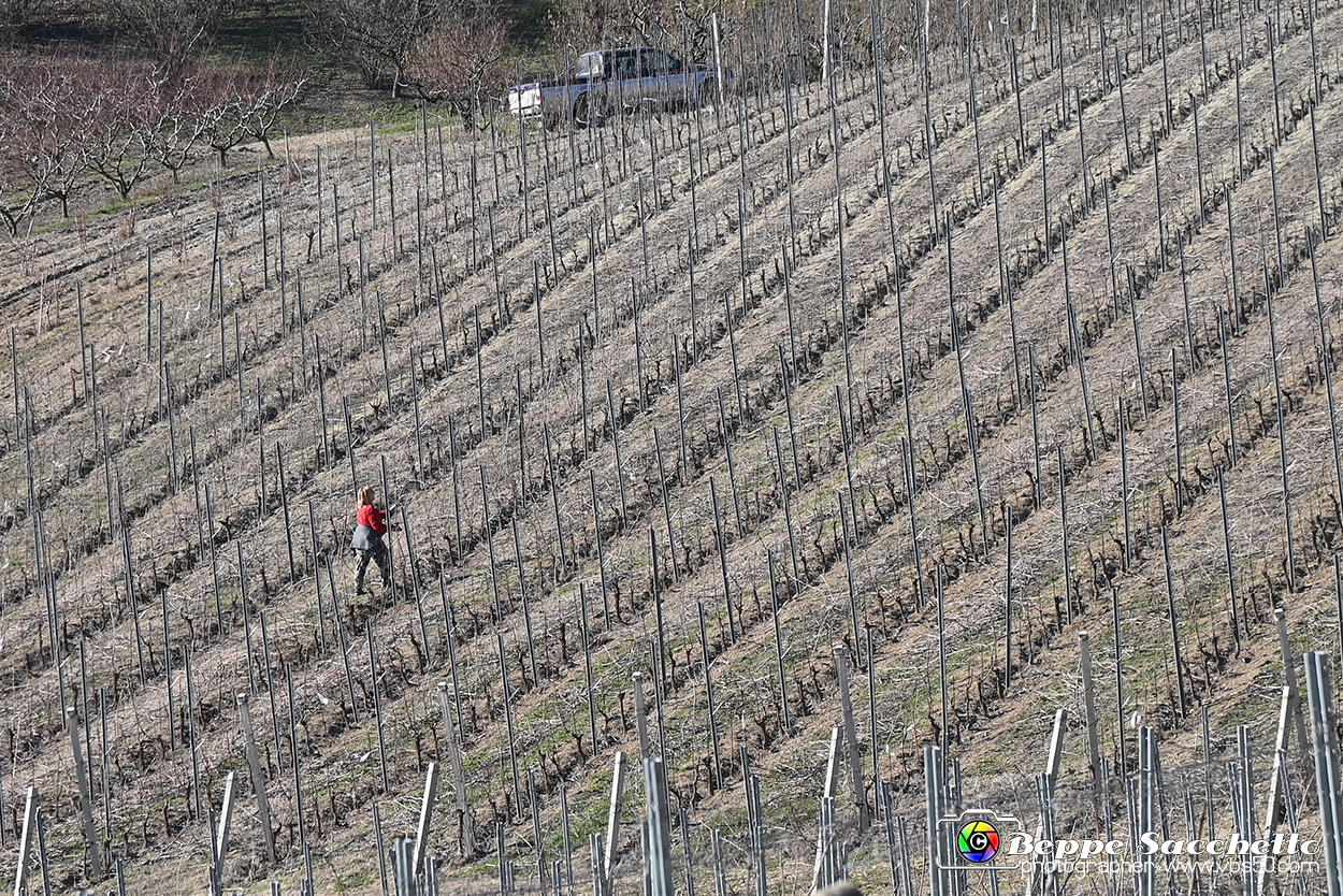 VBS_0836 - Corneliano d'Alba.jpg